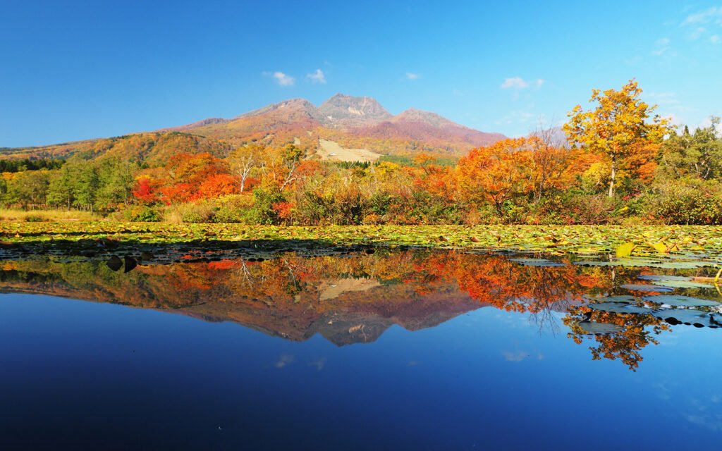 🏞️ 이모리 연못(이모리이케) 이미지 4